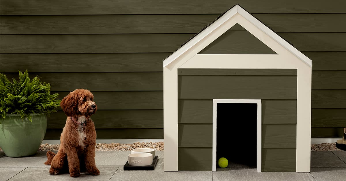 Mountain Sage Green Siding Dog House Mountain Sage Green Siding Dog House